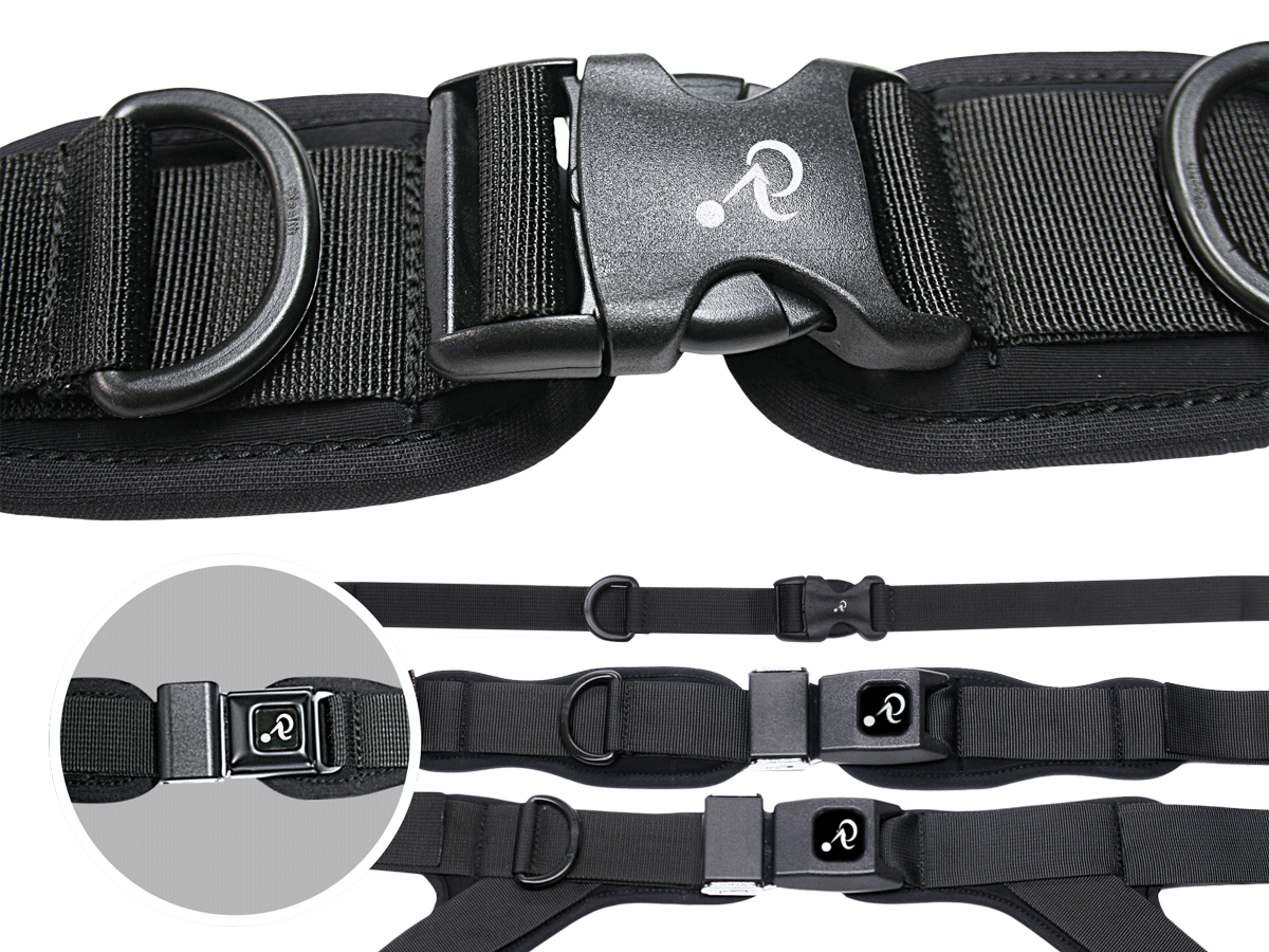 belt for anterior pelvic tilt